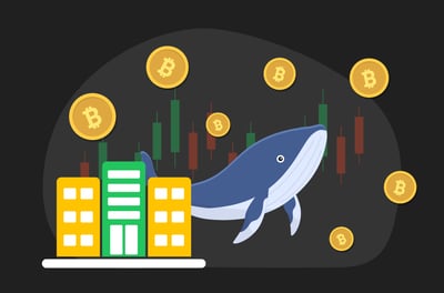 أكبر حيتان بيتكوين من الشركات